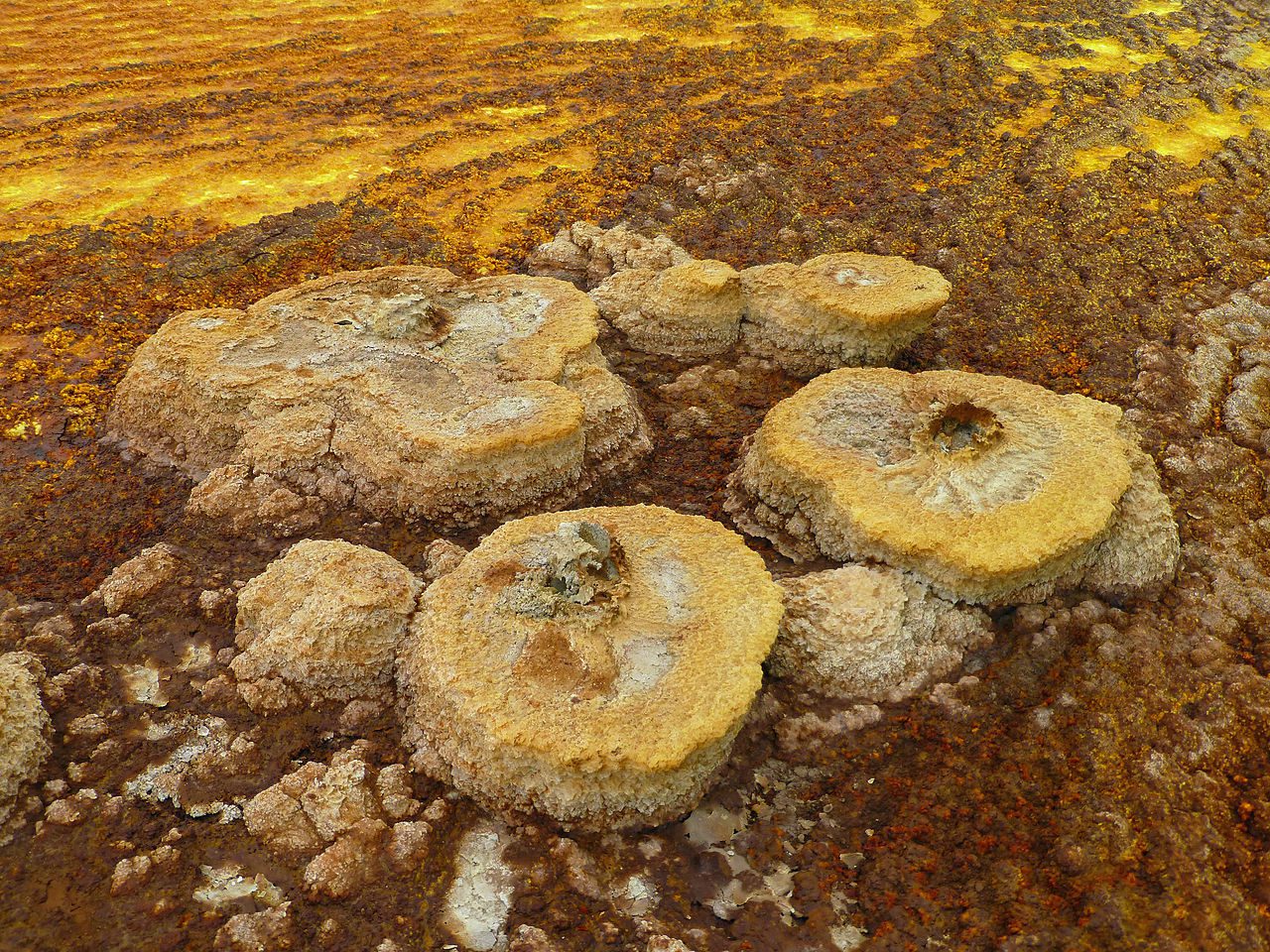 Dallol5