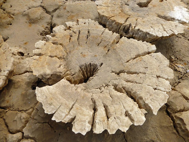 dallol7
