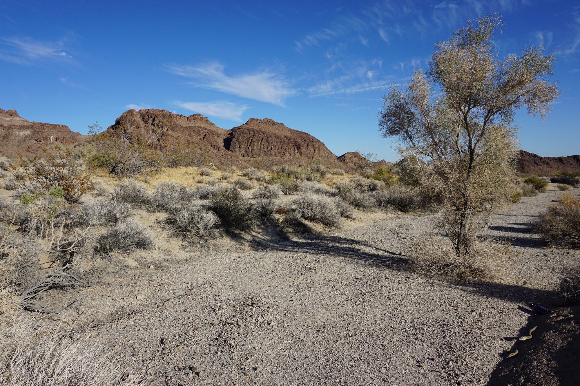 mojave2