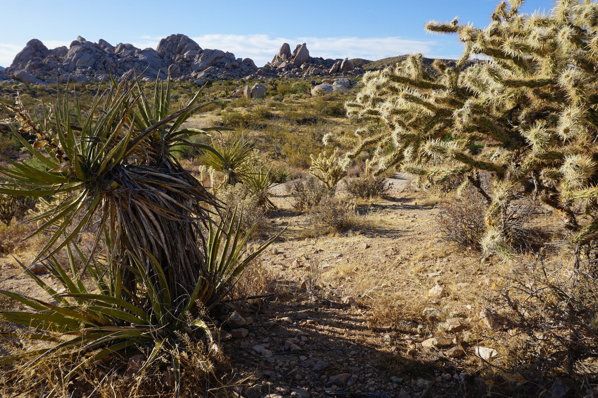 mojave4