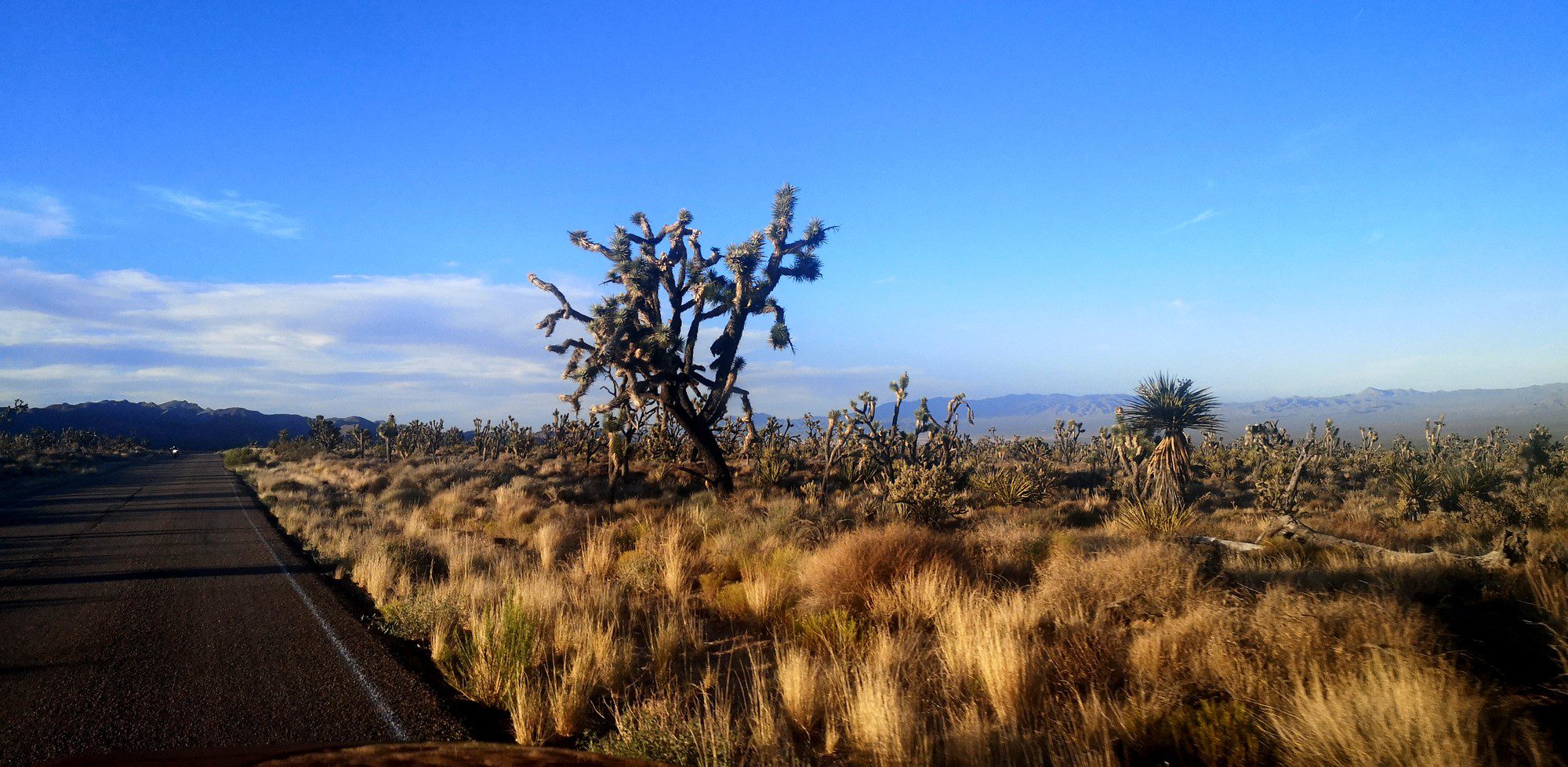 mojave5