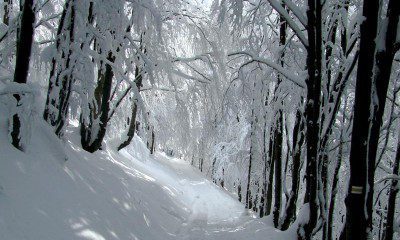 08 szlak do Chatki Zima