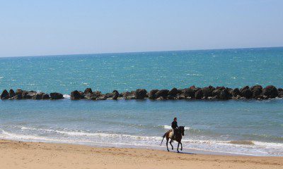 Agrigento ikona