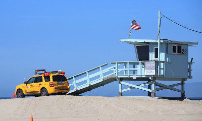 la ikona venice beach