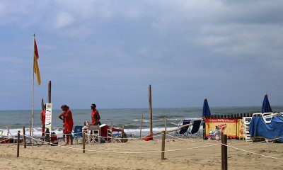viareggio ikona