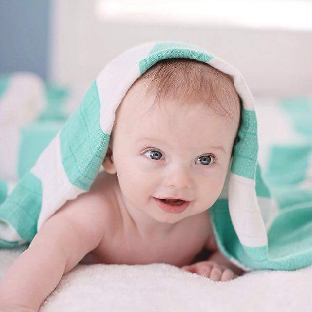 BabySpearmintGS