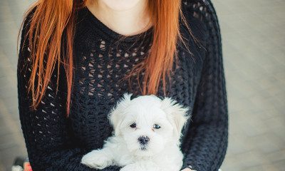 Fot. Musiej Photography 2