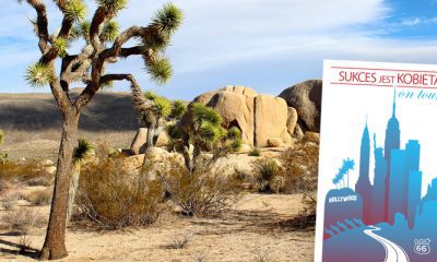 mojave1