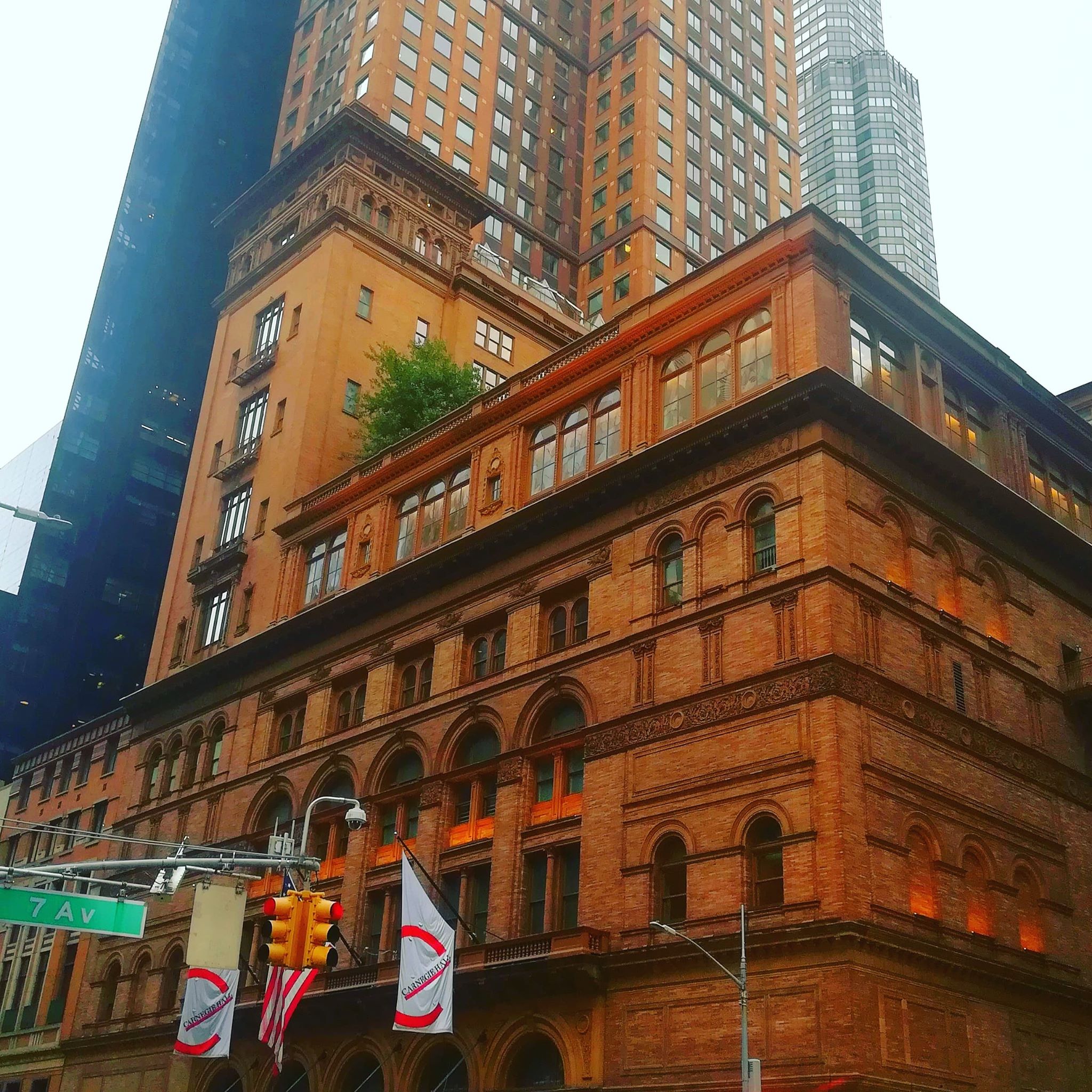 ny1