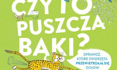czy to puszcza poziom